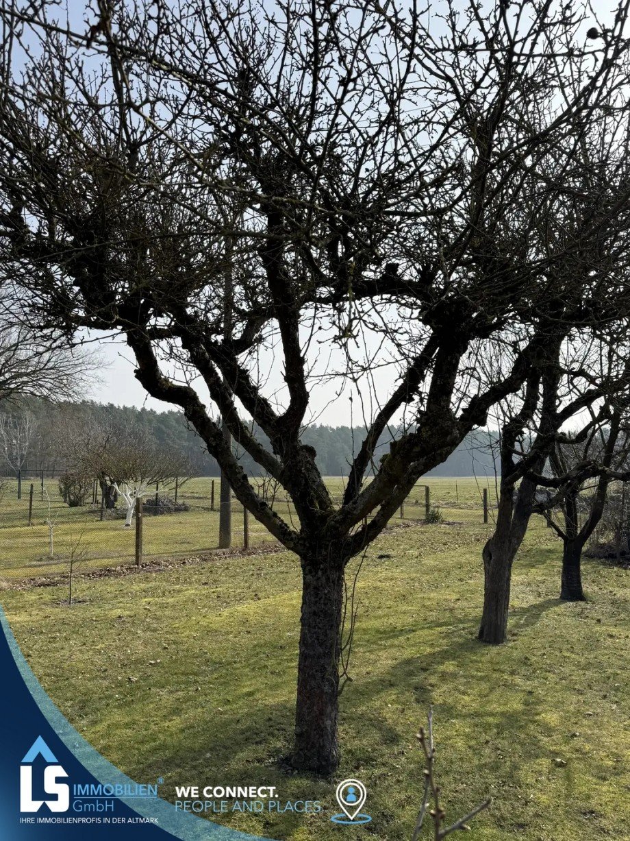 Garten Doppelhaush�lfte D�mitz OT Heidhof