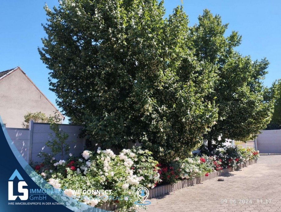 Au�enanlage Haus Stendal