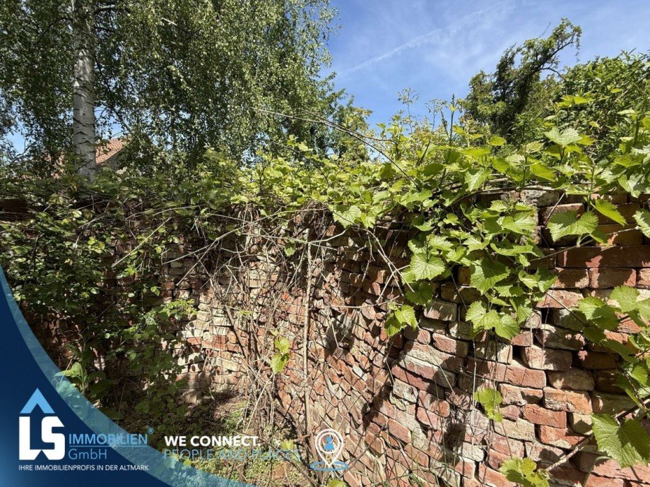 Garten Einfamilienhaus Ostingersleben