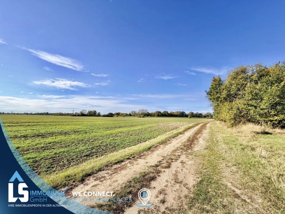 Weg zur Elbe Doppelhaush�lfte Hohenberg-Krusemark