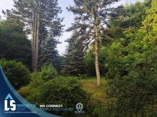 Grundst�ck  Charmantes Zuhause - Ruhige Lage inmitten der Natur!  Sommeraktion Preisreduzierung