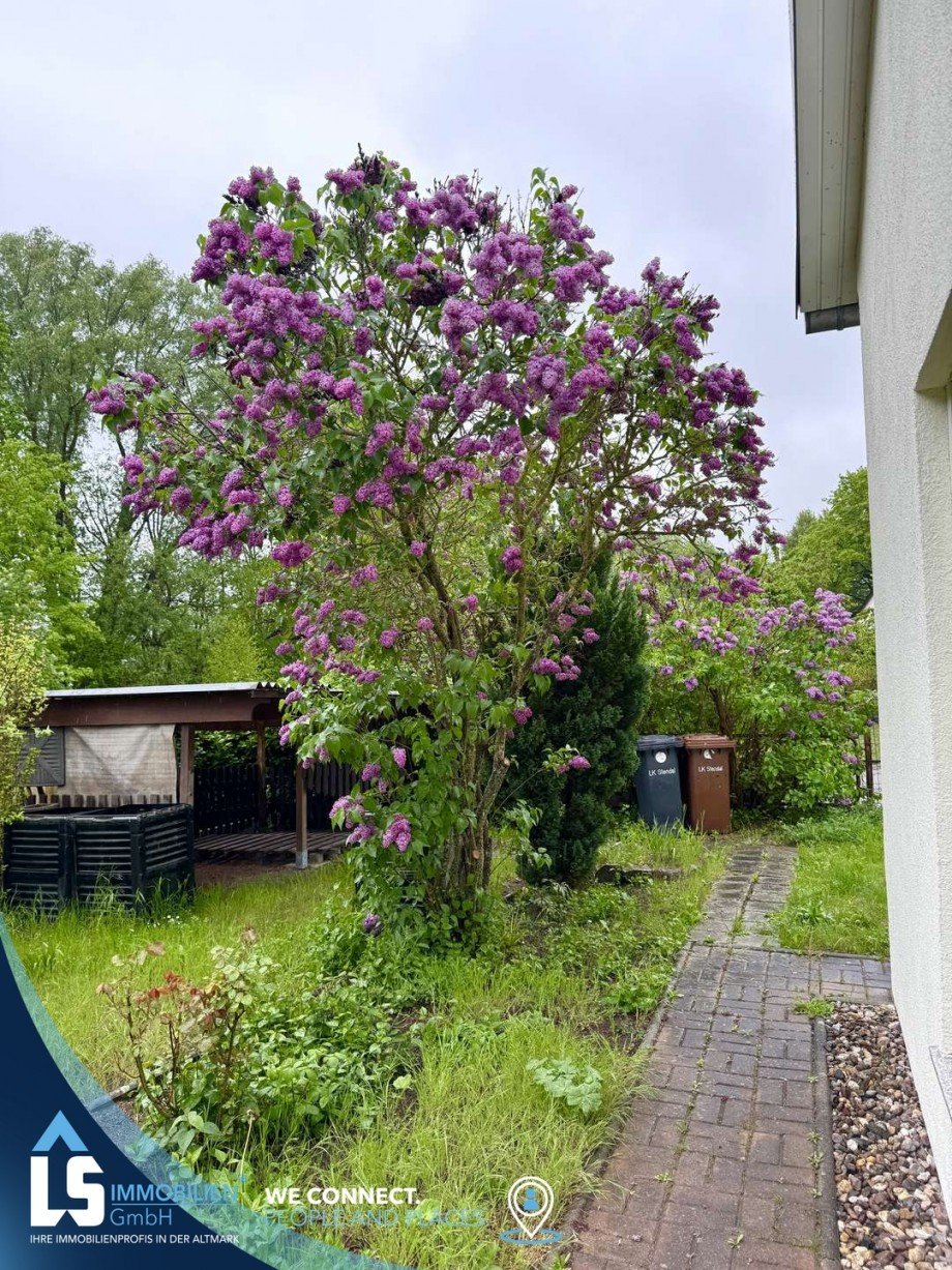 Garten Bungalow Stendal